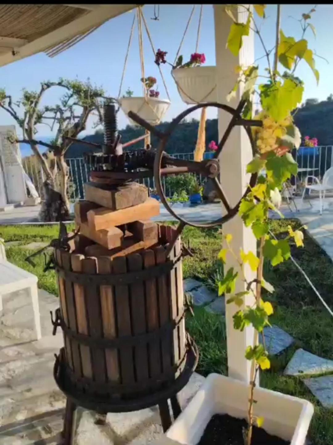 Message In A Bottle Bed And Breakfast กัมโปโรสโซ ภายนอก รูปภาพ